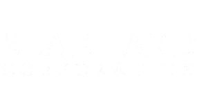 seaboard corporation logo white